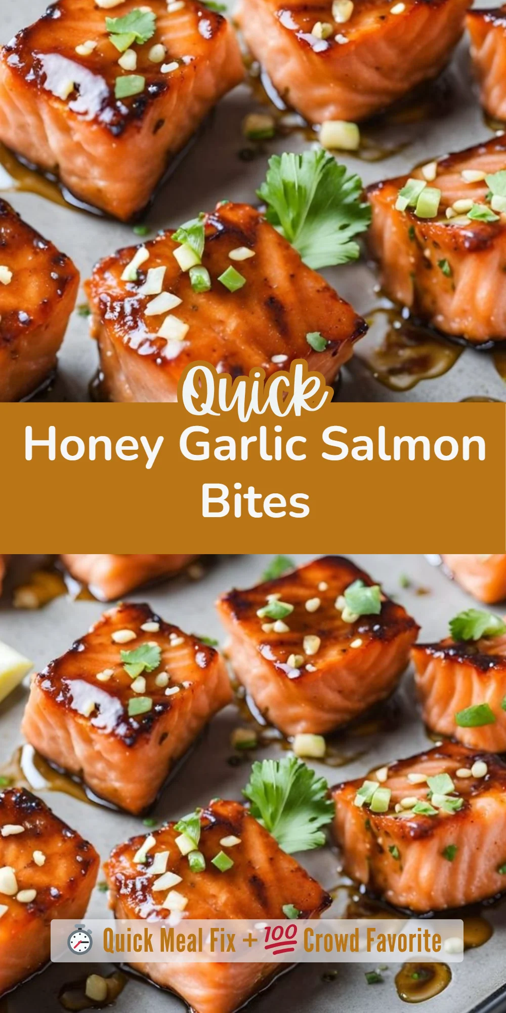Honey Garlic Salmon Bites